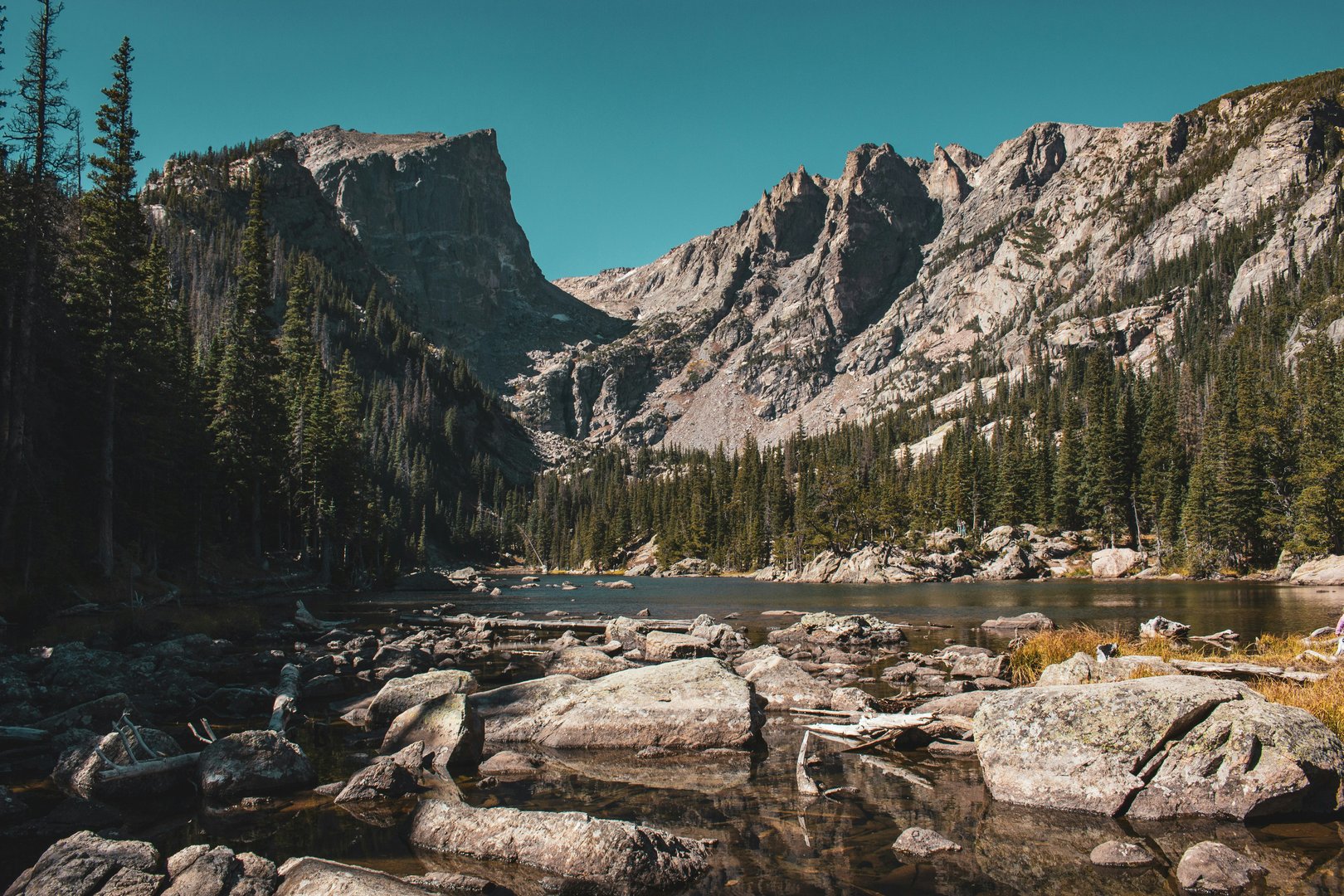Page banner