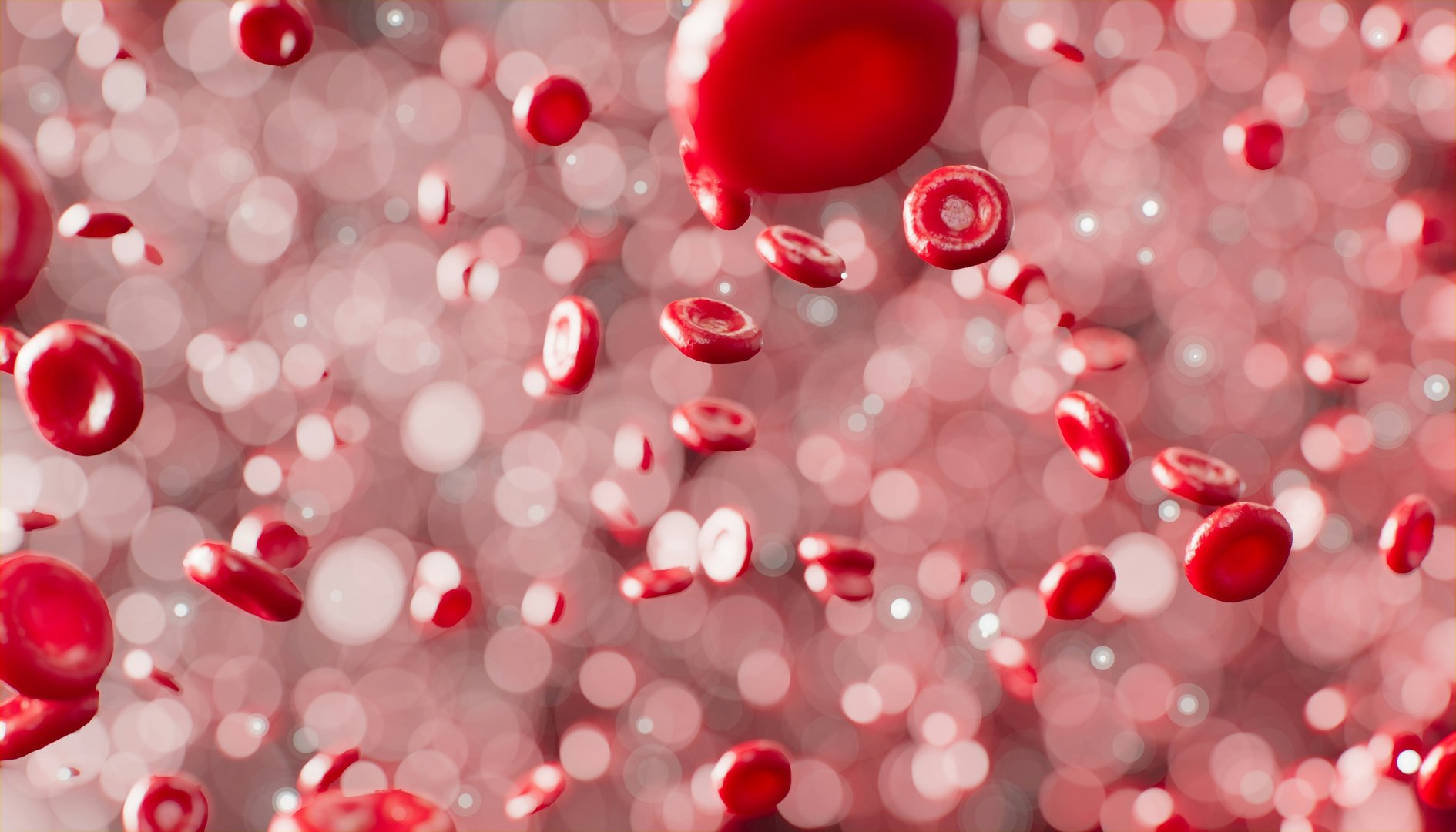 Page banner