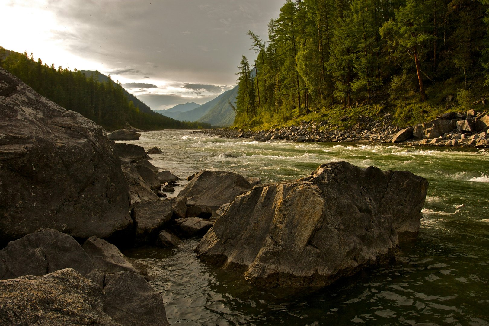 Page banner